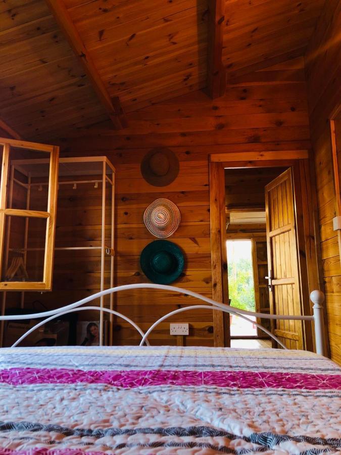 Willa Happy Glamping Cy Agios Theodoros Zewnętrze zdjęcie