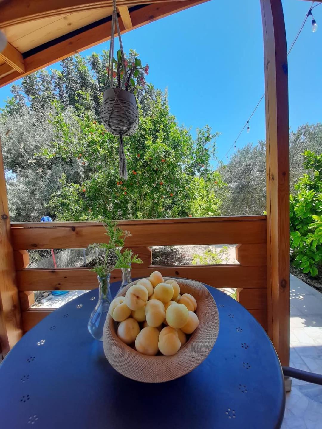 Willa Happy Glamping Cy Agios Theodoros Zewnętrze zdjęcie